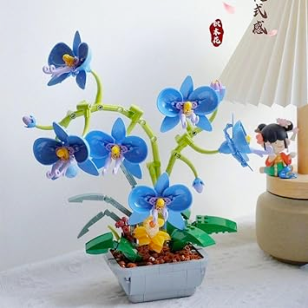 Moth Orchid Potted MultiBrickz